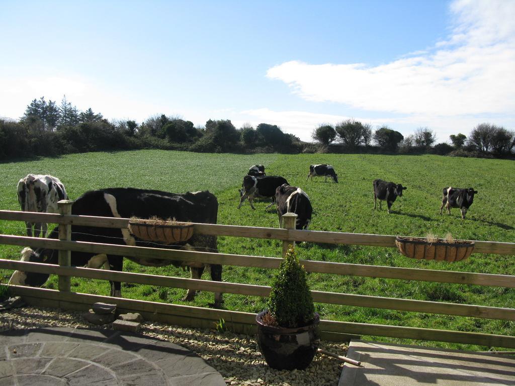 Farmstead Lodge B&B Beaufort Dış mekan fotoğraf